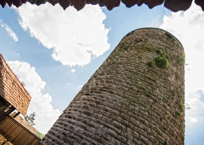 Burg