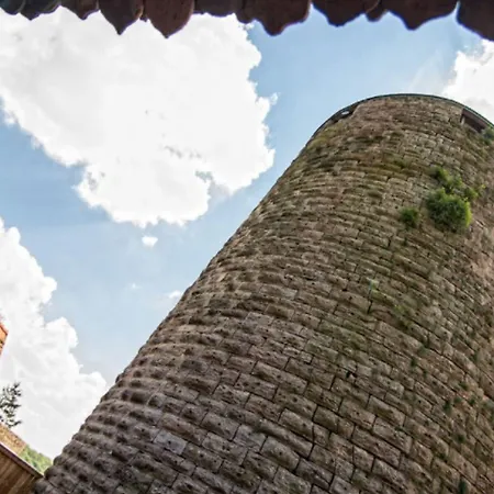Burg